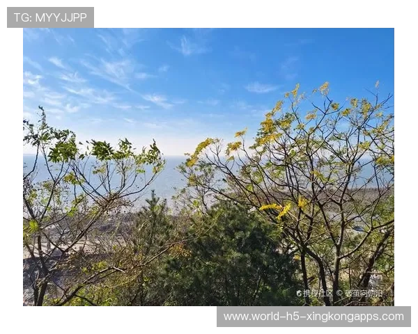 [选手名]接受采访：拿了这么多MVP，我最怀念的还是最初那个网吧的下午🕰️
